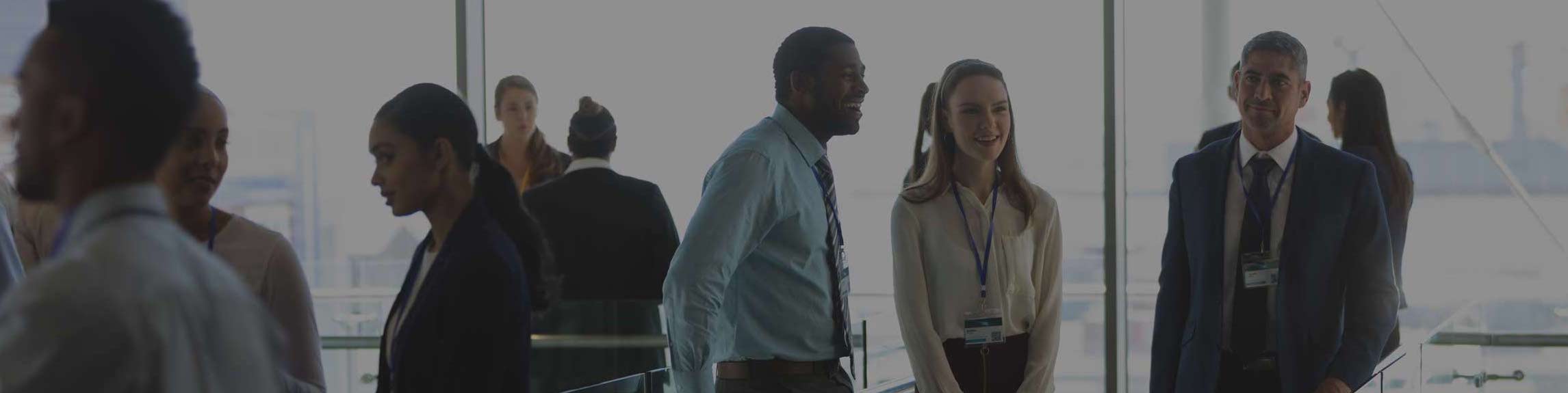 Fellowship Program for New CEOs and Executive Directors