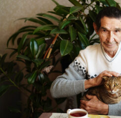 elderly asian man petting a cat at the dinner table 1200 776