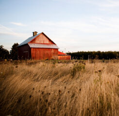 red barn rural 108736678 1200 776