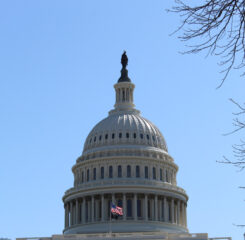 Capitol 11 776x1200