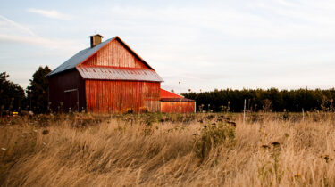 Leading Like a Coach