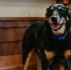 2Scout Meadow Brook MFC TechTime04.26 1200x776