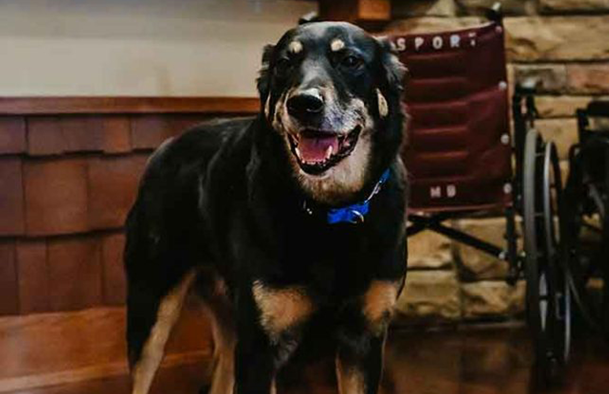 New CAST Case Study Details AI Security System Success